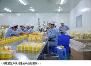 河北省全面启动保健食品及茶叶制品生产经营许可换证工作，筑牢安全防线