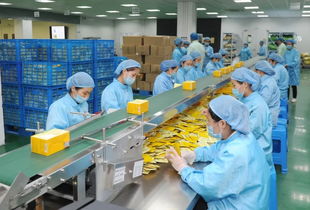 姚书记强调安全生产 确保国庆佳节平安祥和——重点关注茶叶制品生产领域